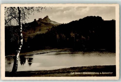 Flossenbürg Ruine Flossenbürg Geisweiher