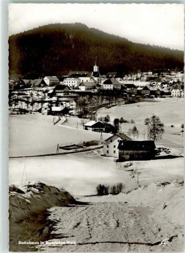 Bischofsmais Winter