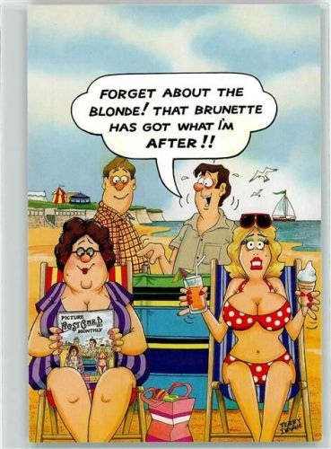 Picture Postcard Monthly Magazine for collectors of old an modern postcards - Werbung Humor sign. Terry Irvine