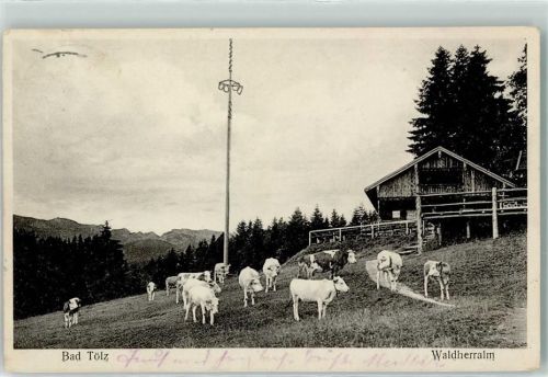 Waldherralm - Kühe Hüttenstempel