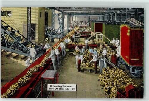 New Orleans Unloading Bananas Industrie Fabrik Banane