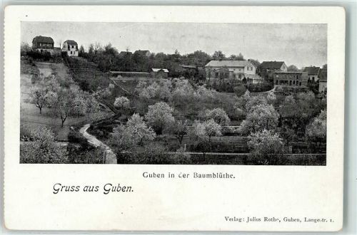 03172 O7560 Guben - Baumblüte Gruss Leparello