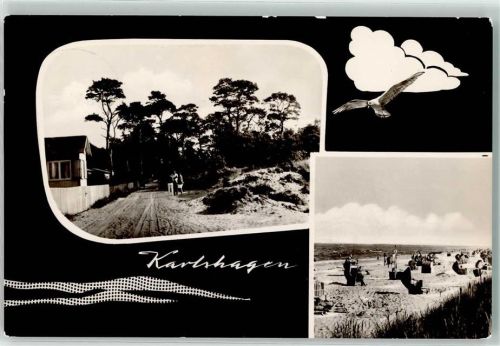Karlshagen Möwe Strand