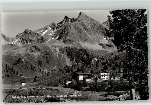 Kühtai Alpenrose Dortmunder Hütte u. Schlössl