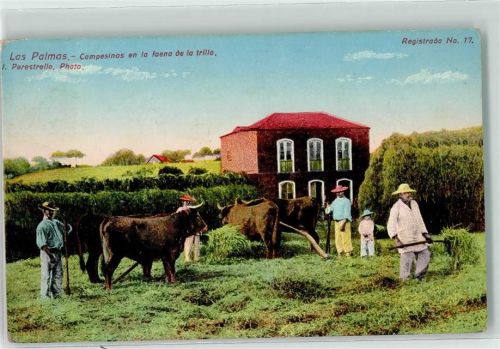Las Palmas de Gran Canaria Landwirtschaft Volkstypen Vieh
