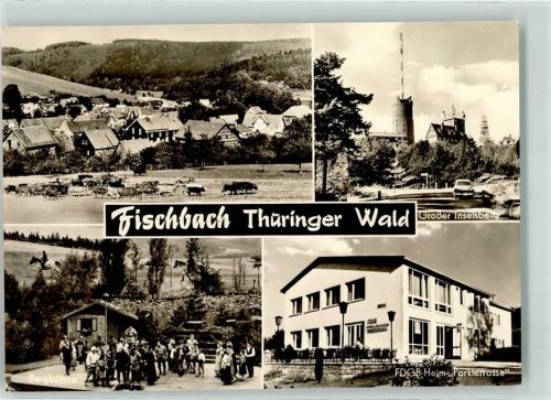 Fischbach FDGB-Erholungsheim Parkterrasse Rinderherde Großer Inselsberg