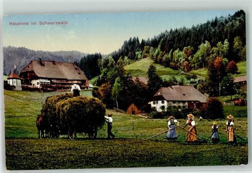 Heuernte Tracht