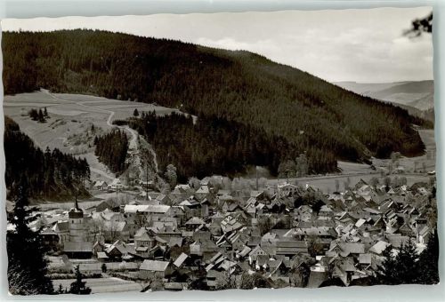 Steinwiesen