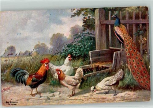 Hahn Huhn Pfau R und L Nr.1684