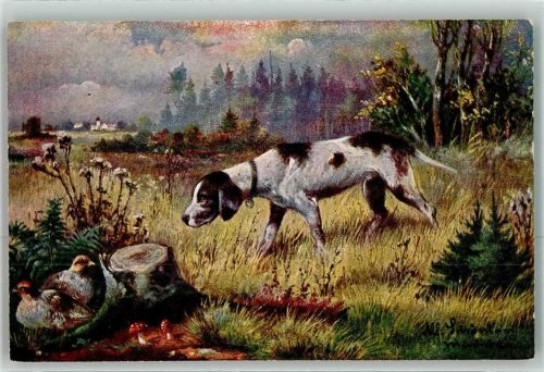 Jagdhund Pointer Waldhühner Fliegenpilze KV Nr.6004