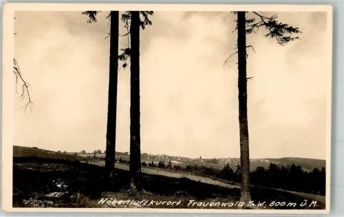 Frauenwald