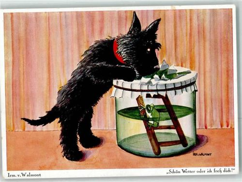 sign.von Walmont Irm. Hund Schön Wetter oder ich freß dich Verlag Köhn Nr.1493