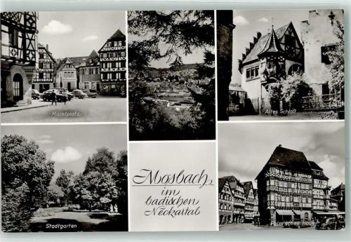 Mosbach Altes Schloß Stadtgarten Marktplatz Palm'sches Haus