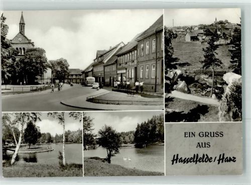 Hasselfelde Marktplatz Schwimmbad Gondeleich Schwäne