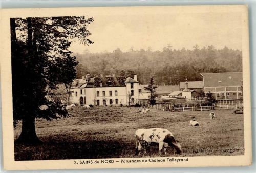 Sains-du-Nord Paturages du Chateau Talleyrand Kühe
