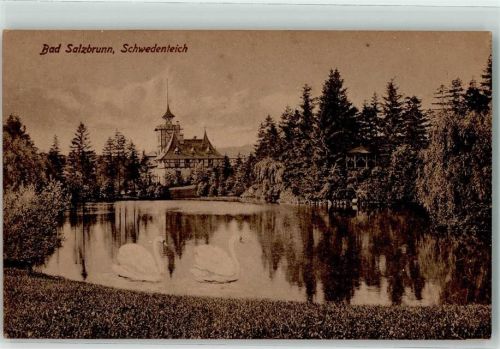Bad Salzbrunn Schwedenteich Schwan