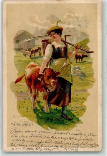 Bäuerin Kalb Kühe Schubert, H. 1903 Künstlerkarte