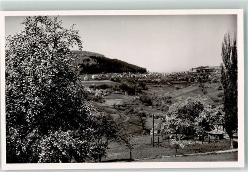 Wilhelmsfeld Foto Metz