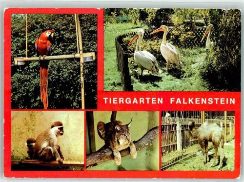 Falkenstein Tiergarten Ara Pelikane Meerkatzen Luchs Kamel