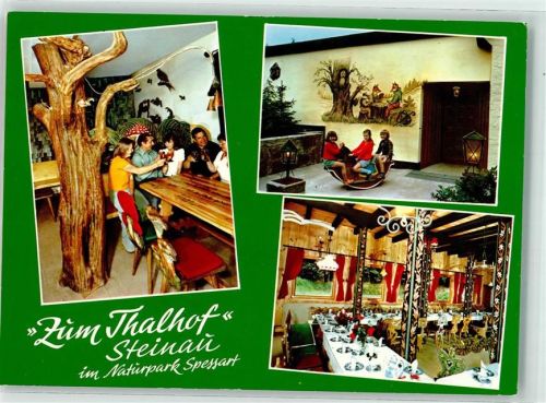 36396 W6497 Steinau an der Straße Foto AK Speisegaststätte Zum Thalhof Gastraum Gasthaus Schaukelpferd Wandmalerei Baum Stamm Fliegenpilz Laterne Kinder Blumen Vase