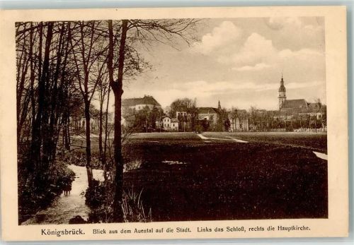 Königsbrück Blick vom Auental auf Schloss Hauptkirche u.Stadt