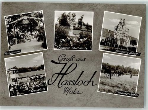 Haßloch Naturpark Friedrich-Ebert-Platz Spielplatz Lönsstraße Pferderennbahn Fohlenhof-Weide