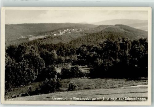 Kiesewald Michalowice 1938 Foto AK Riesengebirge Hüttenstempel Felsbaude