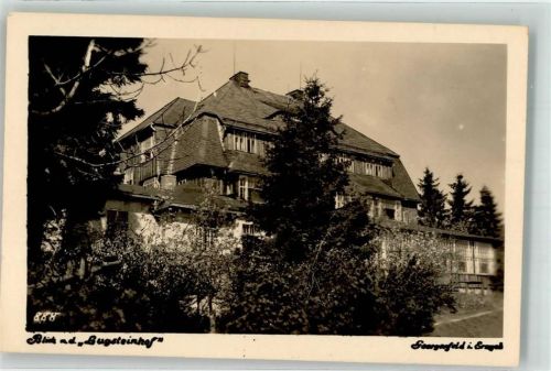 Zinnwald-Georgenfeld Gasthaus Bugsteinhof Stempel Pension Sächsischer Reiter