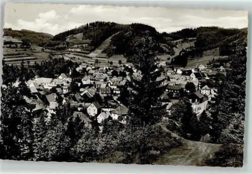 Steinwiesen