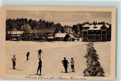 Schmücke Winter Skifahrer