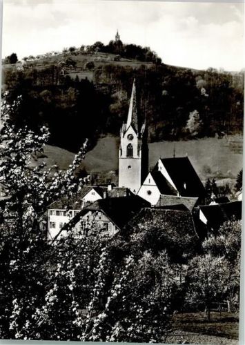 Lustnau mit St. Martin Kirche Fotograf Restle