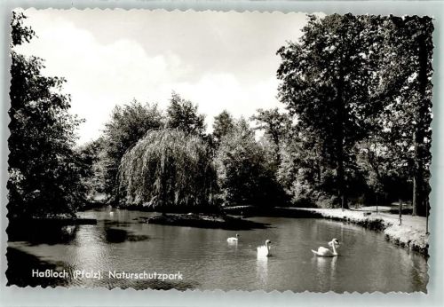 Haßloch Naturschutzpark