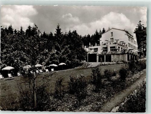 Glashütten Wald Hotel Liegewiese Sonnenschirm Terrasse
