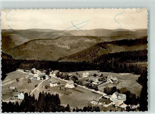 Zwieselberg Vogelschau FOTO KEINE AK