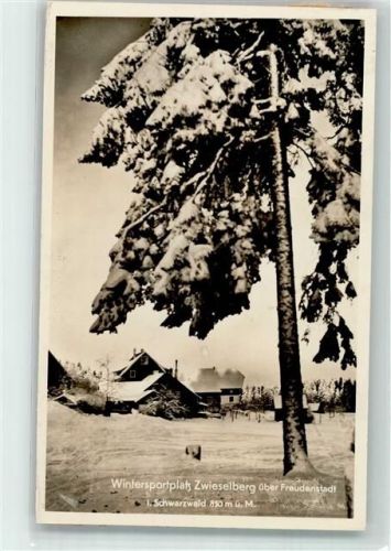 Zwieselberg Gasthaus Pension Auerhahn Winter