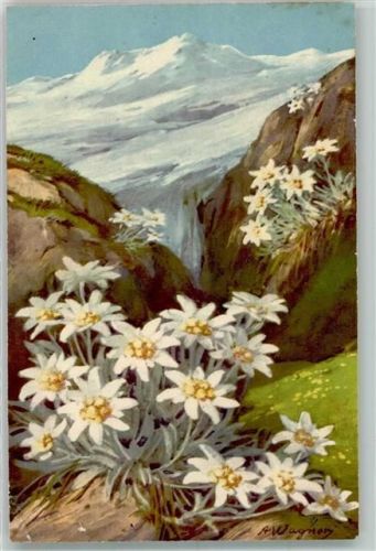sign. Wagner A.
