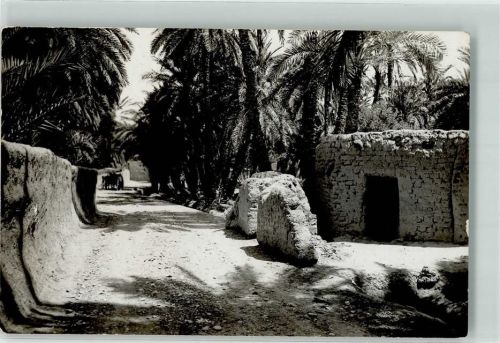 Biskra 1933