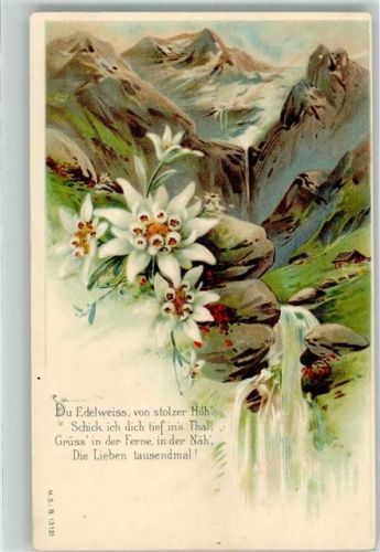 M.S.i.B. 13121 Rauschender Wasserfall im Hochgebirge Lithographie