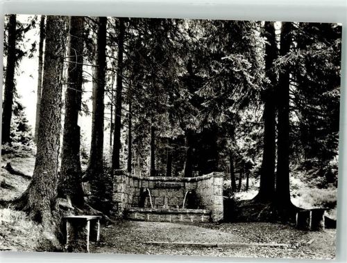 Tanne Quelle Jägerborn Bild und Heimat Fotograf Melzer