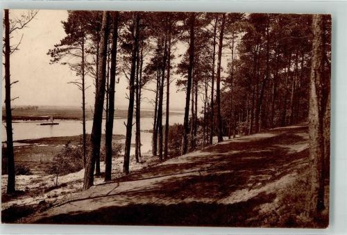 21502 W2054 Geesthacht - Blick auf die Elbe