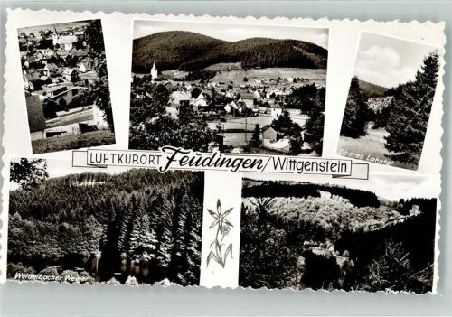 Feudingen Weidelbacher Weiher Ilstal Oberes Lahntal