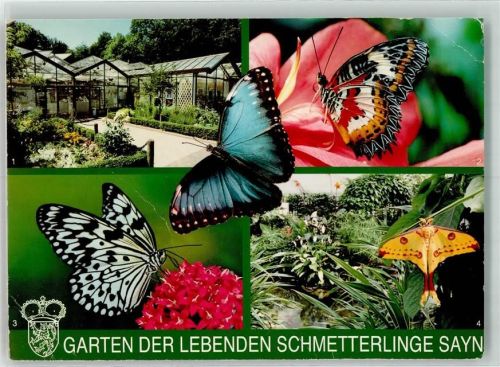 Bendorf Schlosspark Schmetterlinge