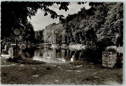 Illertissen Ort handschriftlich Foto Partie am Weiher Original aus Archiv eines Ansichtskartenverlags