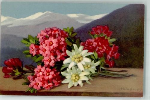 Alpenrose sign. Wagner A. Photochromie Serie 584 Nr.1518