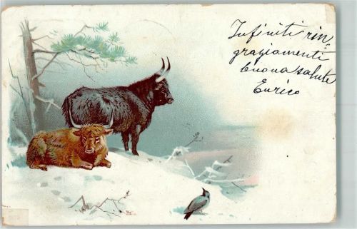 1902 Vogel Winter Lithographie
