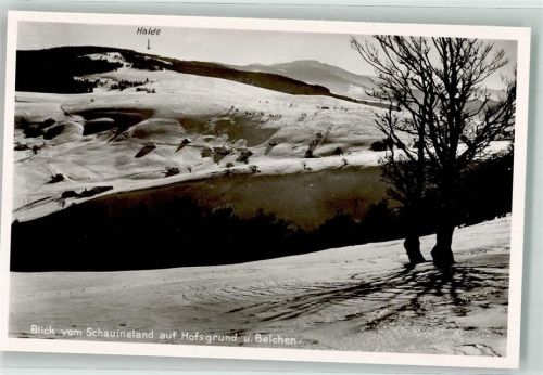 Oberried Winter Blick vom Schauinsland auf Hofsgrund u. Belchen