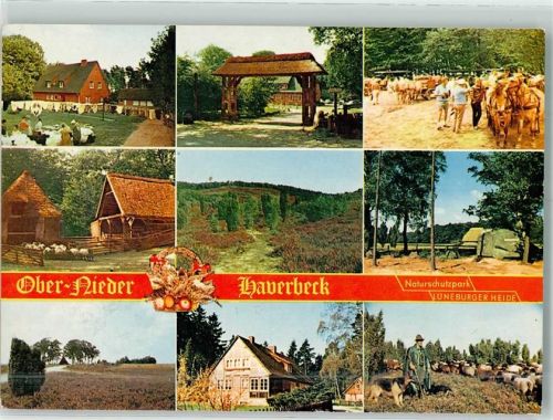 Bispingen Naturschutzpark Lüneburger Heide