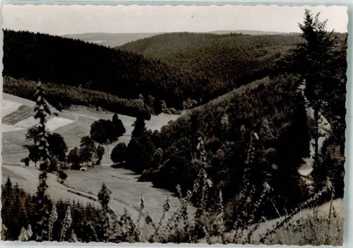 Zinse Ort handschriftlich Foto Original aus Archiv eines Ansichtskartenverlags