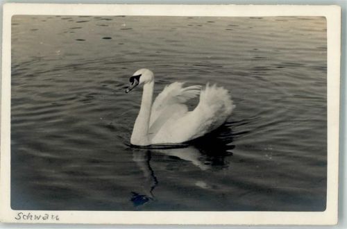Fotografie Karl Kupka
