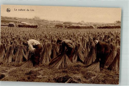 La culture du Lin. Landwirtschaft Bauern Beruf